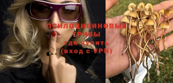 круглые Алзамай