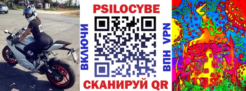 Псилоцибиновые грибы Psilocybe  закладки  ссылка на мегу tor  Ейск 